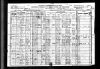 Alpena, Michigan 1920 Census (Panknin)
