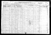 Haynes Township, Alcona County, Michigan 1920 Federal Census